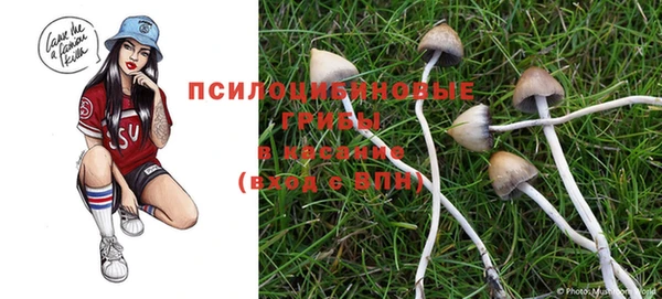 соль курить ск Алексин