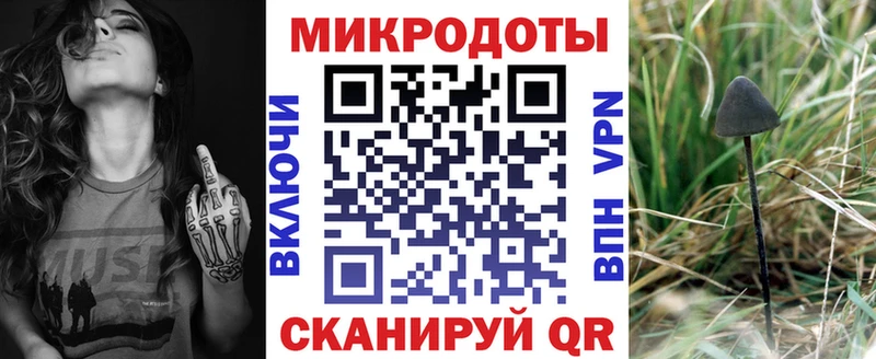 Псилоцибиновые грибы Magic Shrooms  блэк спрут сайт  Усть-Илимск 
