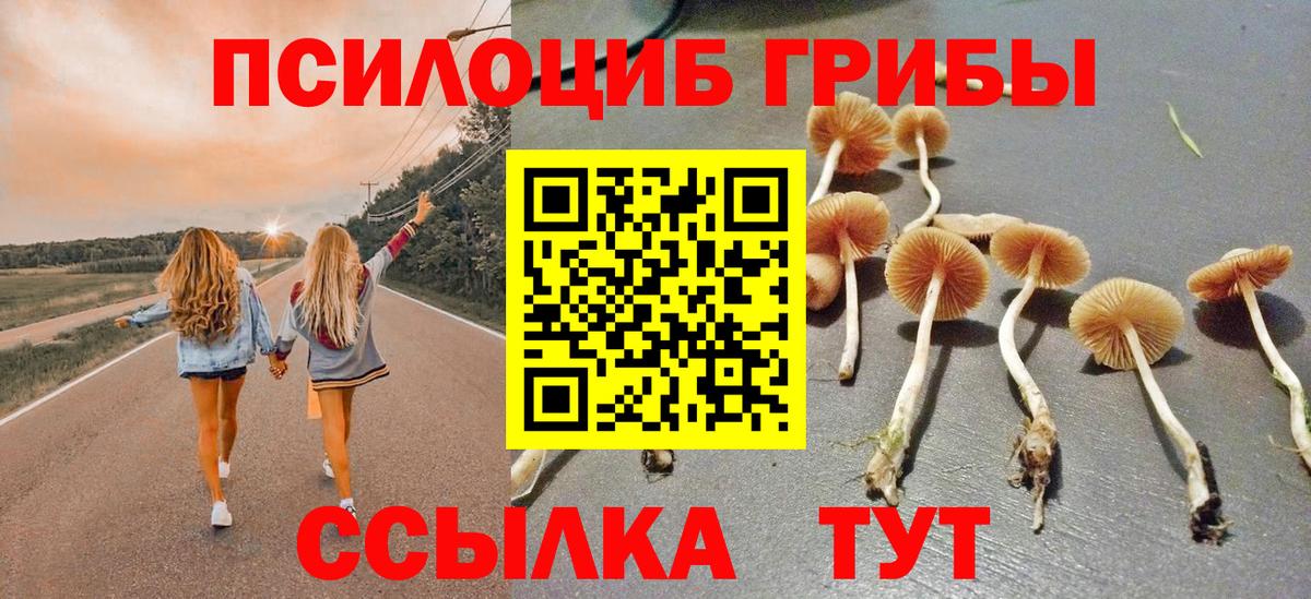 Галлюциногенные грибы Psilocybine cubensis  Вход с VPN  Усть-Илимск  как найти   Псилоцибиновые грибы Psilocybine cubensis 